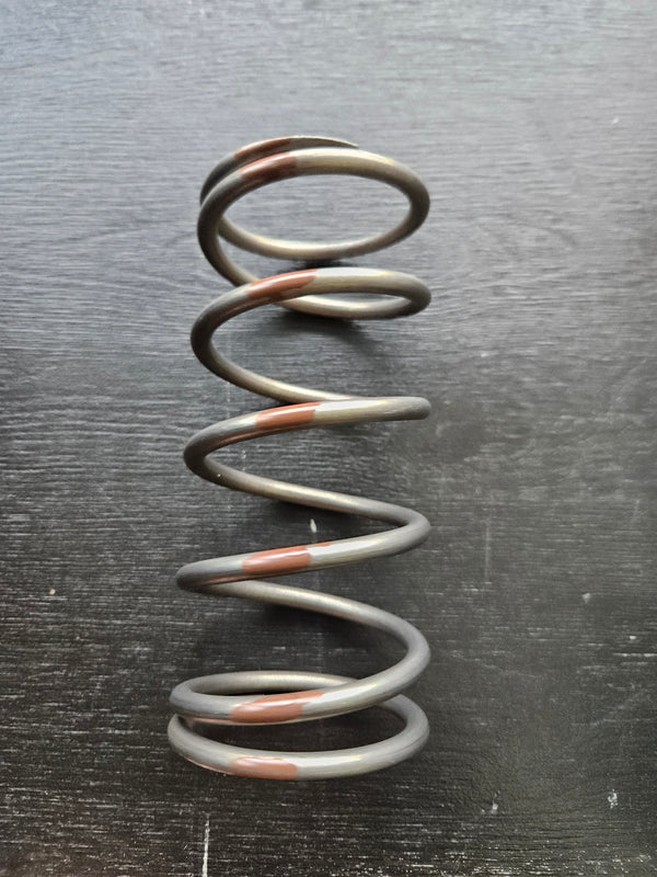 Snowmobile Clutch Springs Primary