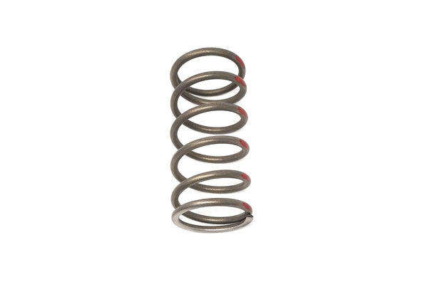 Snowmobile Clutch Springs Primary