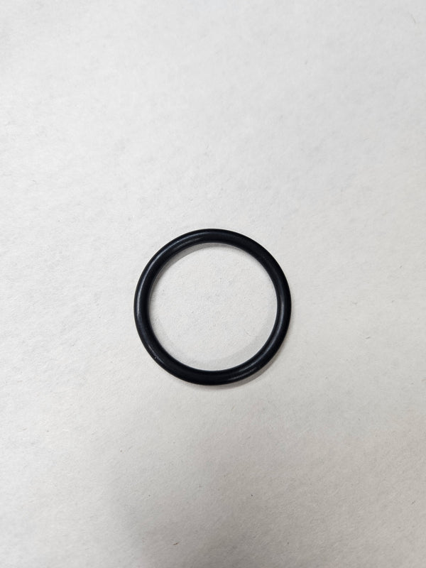 Primary Post O-ring