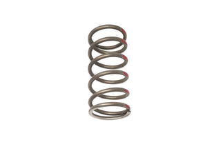 Buy red-400 Snowmobile Clutch Springs Primary